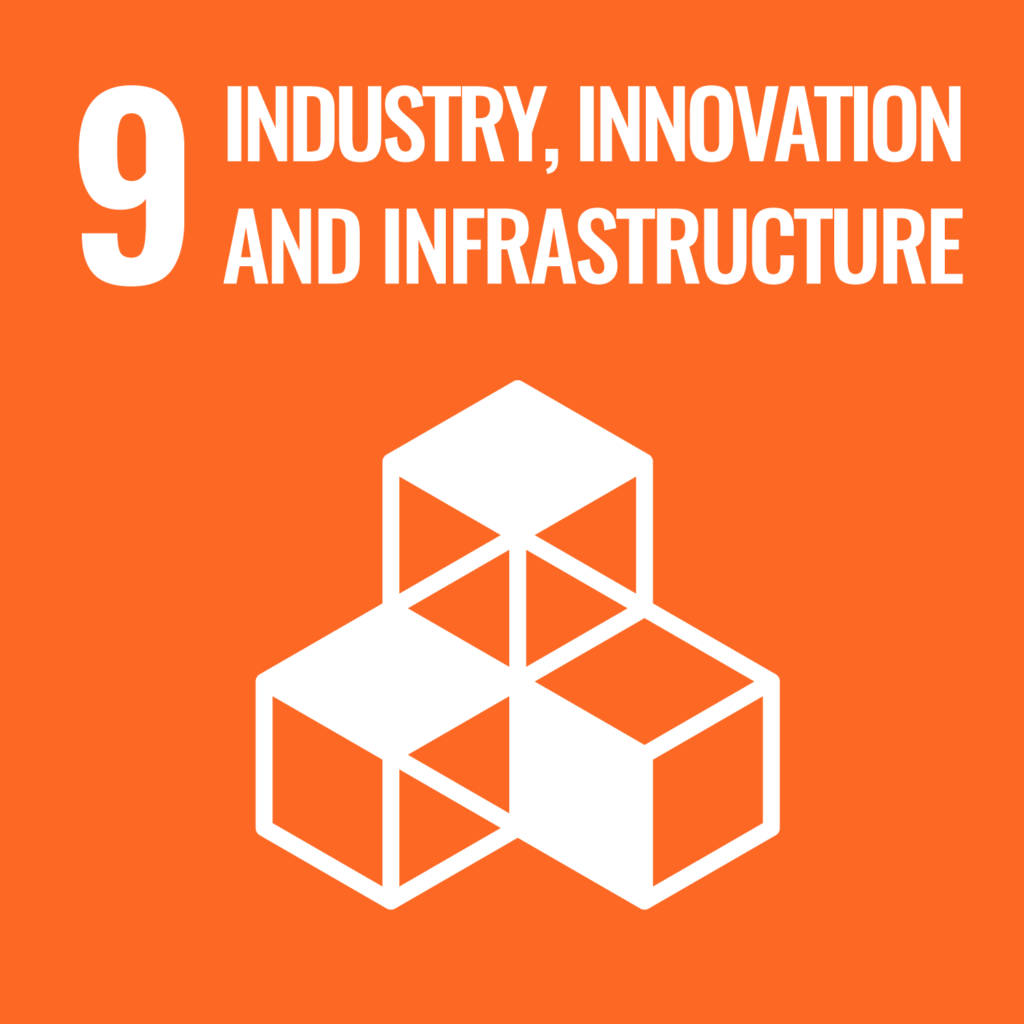 sdg 9