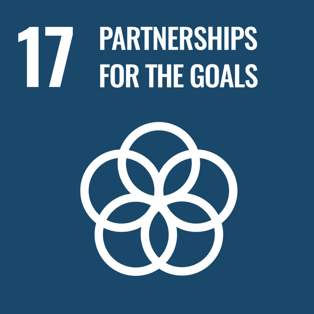 sdg 17